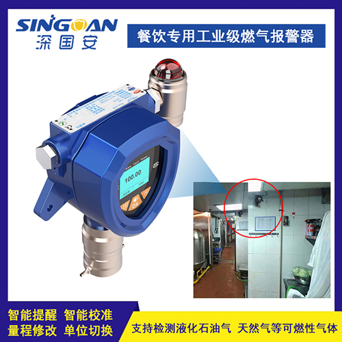 工業(yè)級燃?xì)鈭?bào)警器